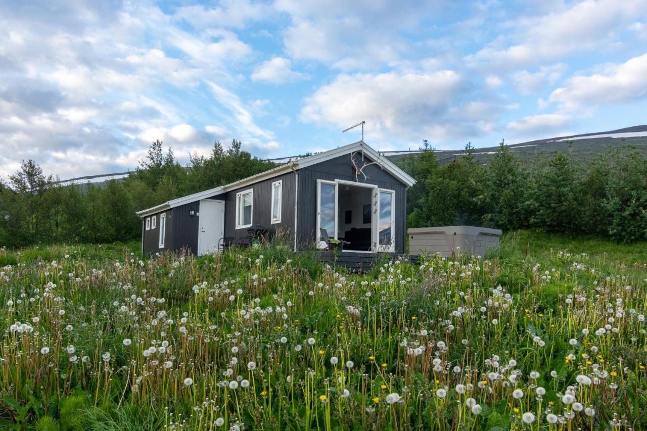 Viking Cottages & Apartments 아퀴레이리 외부 사진